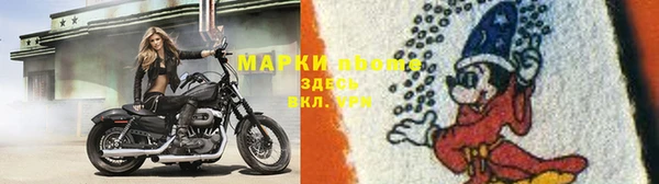 стафф Бородино